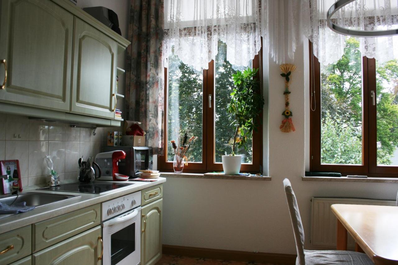 Villa Goeltzschtalblick Netzschkau Екстериор снимка