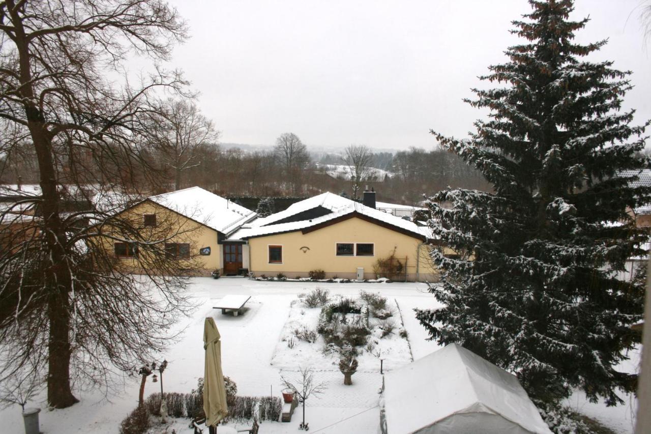 Villa Goeltzschtalblick Netzschkau Екстериор снимка